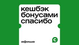 Что можно сделать с бонусами СберСпасибо в Аптека от склада