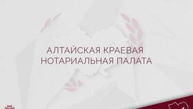 Договорный режим имущества супругов: понятие и особенности в Аптека от склада