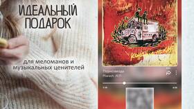 Как написать продавцу на PlayerOK в Аптека от склада