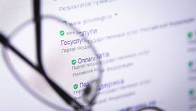 Как подать налоговую декларацию через Госуслуги