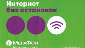 Как подключить интернет-опцию на Мегафон в Аптека от склада