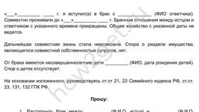 Как самостоятельно подать исковое заявление в суд в Аптека от склада