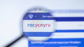Почему не получается войти на сайт Госуслуги в Аптека от склада