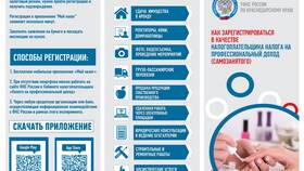 Сведения о доходах как самозанятый в Аптека от склада