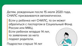 Возможности использования СНИЛС в Аптека от склада