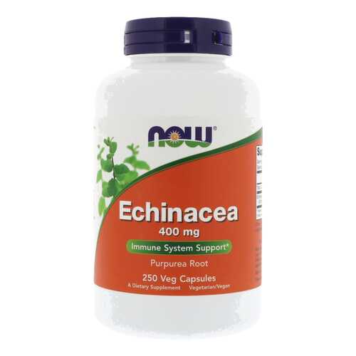 Добавка для иммунитета NOW Echinacea Root 250 капс. натуральный в Аптека от склада